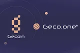 Gecoin Explained