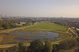 Salford Wetlands. CREDIT: Luke Blazejewski