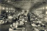 The First Global Pandemic: the Spanish Flu