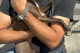 Chandler cuddling a mini greyhound saying goodbye to our airbnb hosts little dog