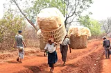 Women carrying heavy loads down a narrow path