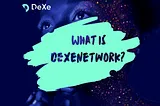 Overview of the DeXeNetwork