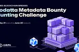 🌉 🔍 codatta Metadata Bounty Hunting Challenge [Three] — Blockchain Bridges