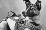 The First Dogs to Travel to the Moon: A Brief History