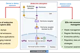 Our own messenger system and its disruption: A perspective from research to risk management!