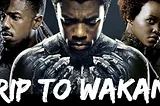 5 themes in ‘Black Panther’ that illustrate nuances within the African Diaspora