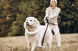 Woman wearing white clothes holds onto an energetic retriever.