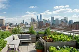 Transform Your Rooftop into a Thriving Oasis: A Guide to Rooftop Gardening