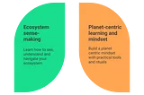 Mission: ecosystem sense-making and planet-centric learning and mindset