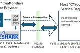 Understand mDNS with an Example