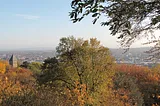 The leaves changing color to yellow and a city beyond the trees.