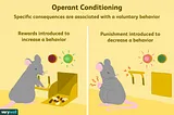 From Pigeons to Media — The Influence of Operant Conditioning