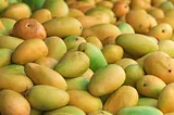 Why can mangoes cooked with spices be harmful to health?