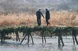 two people walking on a narrow bridge over river in forest