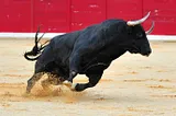 Bull is a very Most Stubborn Animal running around the arena.