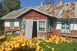 An old wooden house with tin roof and orange pumpkins in front