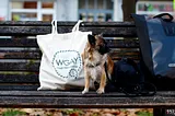 WGAY Gesucht — Setze ein Zeichen mit unseren Goodies!