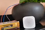 The Pot-Bot: Using AI and IoT to Make Your Plants Talk Back!
