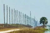 Shimmering heat waves along Texas roady by Getty Images