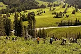 Introducing the Music Forest, where nature and music live in harmony