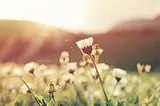 7 Tips for Creating an Effective Online Community