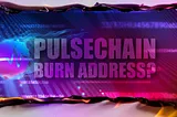 PulseChain Burn Address