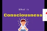 “Consciousness is…”