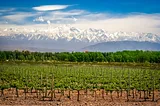 Mendoza: The Heart of Argentina’s Wine Country