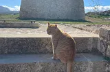 Can sitting and reflecting in Crete, Greece