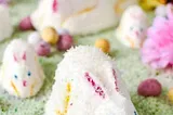 All I Want for Easter Is A Marshmallow Bunny