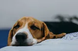 Are You Doing Too Much?