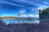 Cougar Bay (lunch-time sidehike)