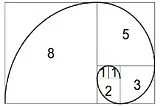 Fibonacci Numbers and Some of its Applications