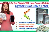 System Exclusive Traffic for Growing Your Business in 2024