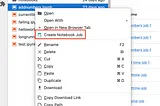 Screen shot of the file browser showing the context menu for a notebook