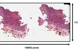FDPNP10: Handling Whole Slide Image in Histopathology