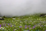 A Journey into the Heart of the Himalayas: Trekking the Valley of Flowers