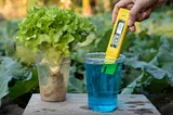 pH meters: what to look for when you’re buying
 
If you’re new to the world of hydroponics, then you may be wondering what a pH meter is and why you need one. A pH meter is a device used to measure the acidity or alkalinity of a solution. In hydroponics, it’s important to keep the pH of your nutrient solution within a certain range in order to ensure healthy plant growth.