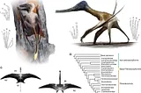 “Early pterosaurs were bad on land you say?” nah