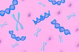 DNA Helixes, x chromosomes, and what appears to be ovum on a pink background.