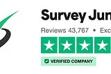 Survey Junkie Review: A Solid Side Hustle Strategy for Extra Cash​ (honest review)