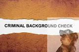 How To Background Check Yourself?