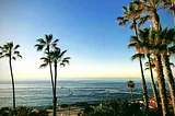 Pacific Ocean with palm trees, in San Diego