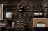 Review of the NEW Addition to the Le Labo Family: CYPRÈS 21