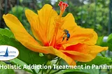 The World’s Best Choice for Luxury Addiction Treatment