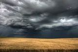 Photo of storm clouds over a field of wheat.