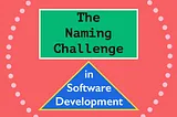 The Naming Challenge in Software Development