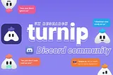 Case study: Turnip discord community research