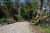 Passeio Verde: À descoberta do novo percurso da Ecovia das Laranjas