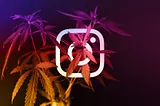 How To Stop Your Cannabis Instagram Account From Getting Taken Down